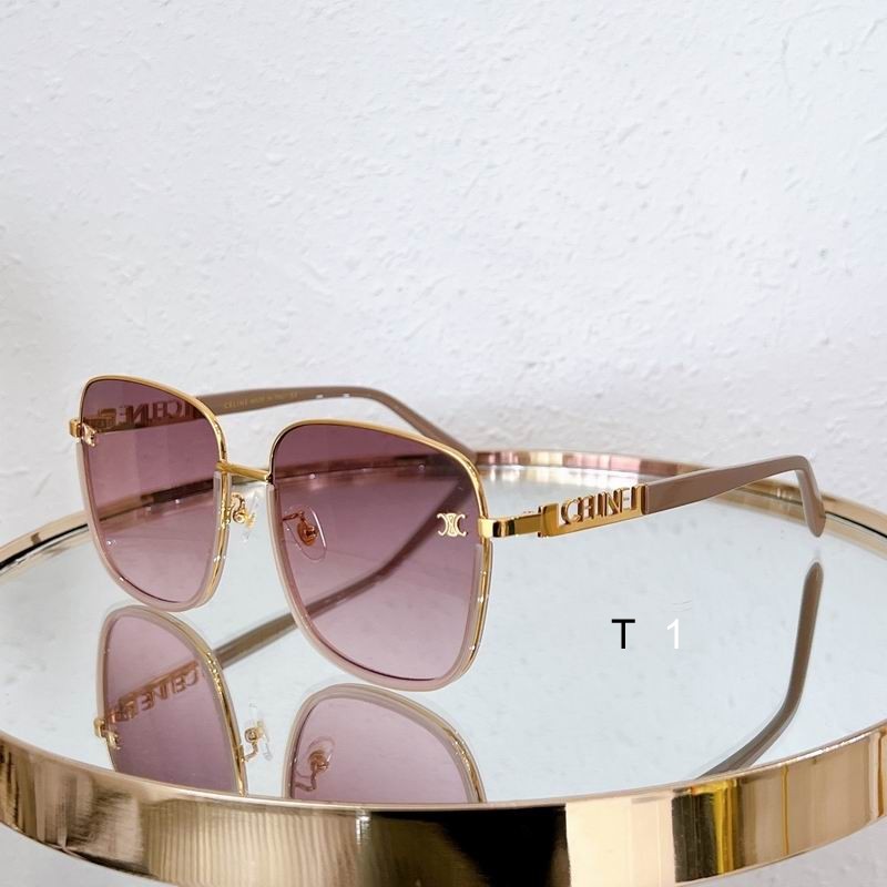 CELINE Sunglasses 169